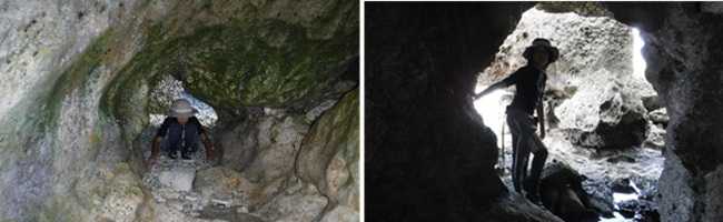 ���l�������T��